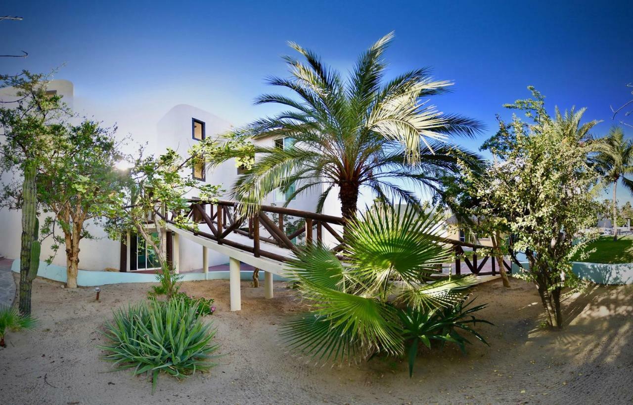 Santa Maria Del Cabo 호텔 San José del Cabo 외부 사진